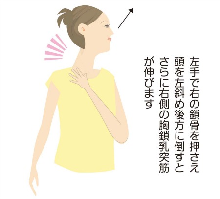 頭痛・めまいをリンパの流れで解消する方法。｜神戸で頭痛外来なら「ぴ～す」へ！