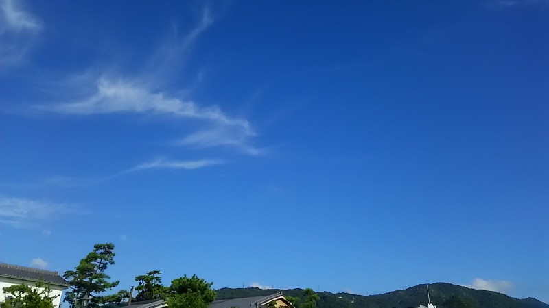 台風がきています。